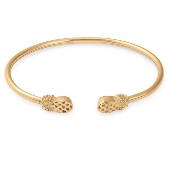 Alex and Ani Jewelry - Authentic Alex And Ani Pineapple Cuff
